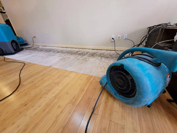Professional Structural Drying technician working in Yorktown Heights, NY